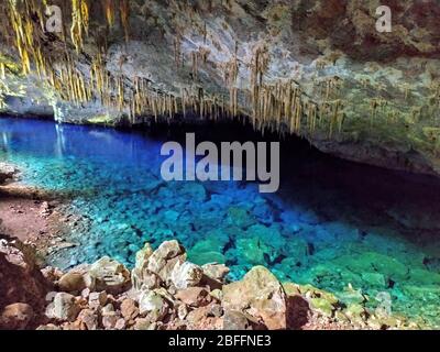 Monument naturel de Gruta do Lago Azul (Grotte du lac Bleu) à Bonito, Mato Grosso do Sul, Brésil Banque D'Images