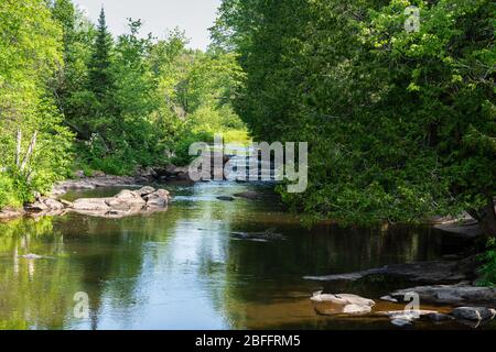Zone de conservation de Ritchie Falls Minden Hills Algonquin Highlands Ontario Canada Banque D'Images