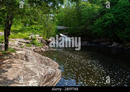 Zone de conservation de Ritchie Falls Minden Hills Algonquin Highlands Ontario Canada Banque D'Images