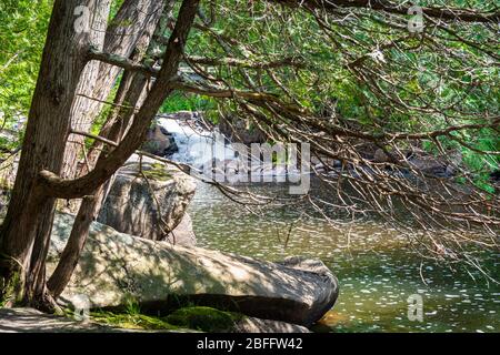 Zone de conservation de Ritchie Falls Minden Hills Algonquin Highlands Ontario Canada Banque D'Images