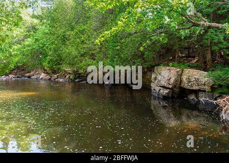 Zone de conservation de Ritchie Falls Minden Hills Algonquin Highlands Ontario Canada Banque D'Images