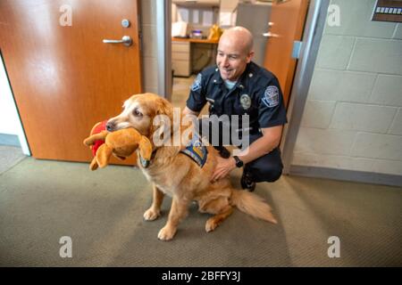 Portant sa veste officielle, un chien de confort interagit avec le personnel du service de police de Hawthorne, Californie. Banque D'Images