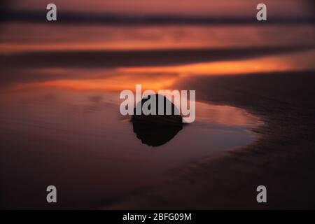 Coucher de soleil violet et orange au Cefn Sida Beach Pembrey Country Park avec une silhouette de seashell en premier plan, au sud du pays de Galles. ROYAUME-UNI Banque D'Images