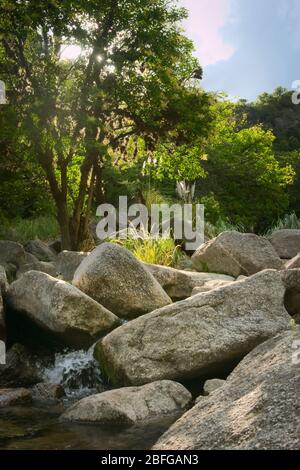 rocky Mountain creek près de Potrero de los Funes, San Luis, Argentine. Banque D'Images