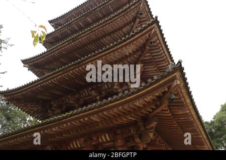 En regardant les ébes incurvées de la plus ancienne structure en bois, la pagode Goju-no-to, le temple Daigo-ji, Kyoto, Japon.Copy Banque D'Images