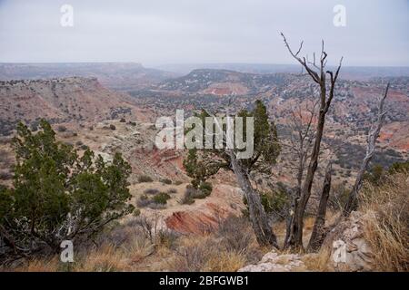 Palo Duro Canyon State Park au Texas, États-Unis Banque D'Images