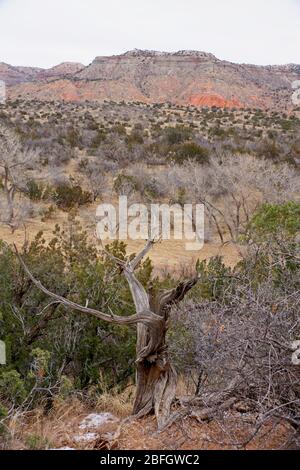 Palo Duro Canyon State Park au Texas, États-Unis Banque D'Images