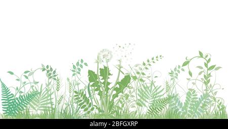 herbes, plantes et herbes vertes Illustration de Vecteur