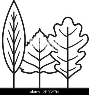 Variété de feuilles ressemblant à une petite icône de ligne vectorielle isolée de forêt. Symbole de l'environnement et du contour de la nature Illustration de Vecteur