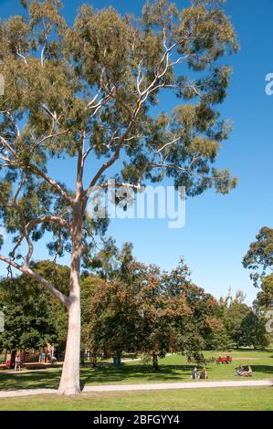 Le parc Landcox de Brighton est vous offre une escapade bienvenue à la maison pendant le verrouillage COVID-19, Melbourne, Australie Banque D'Images