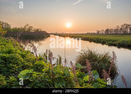 Coucher de soleil sur le paysage néerlandais près de Gouda, Hollande. Le soleil se reflète dans l'eau. Banque D'Images