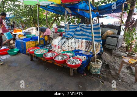 Kochi, Kerala - 30 décembre 2019: Marché de poissons près des filets de pêche chinois à fort kochi, kerala inde Banque D'Images