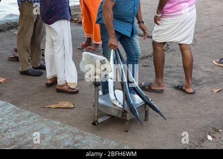 Kochi, Kerala - 30 décembre 2019: Le poisson est pesé sur le marché du poisson près des filets de pêche chinois à fort kochi, kerala inde Banque D'Images