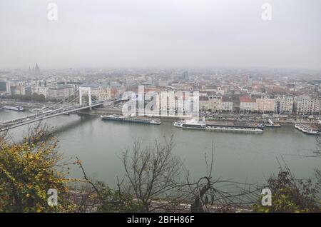 Budapest, Hongrie - 6 novembre 2019 : paysage urbain de la capitale hongroise avec Danube et pont Elisabeth. La vieille ville en arrière-plan. Jour de pluie couvert. Arbres d'automne en premier plan. Photo horizontale. Banque D'Images
