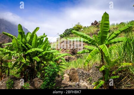 Paul Valley paysage dans l'île de Santo Antao, Cap-Vert, Afrique Banque D'Images