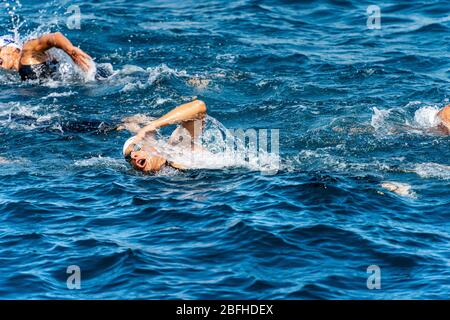 Compétition de natation dans la mer Méditerranée (Trofeo del Gro), en face de l'ancien village de Tellaro, Ligurie, Italie, Europe Banque D'Images