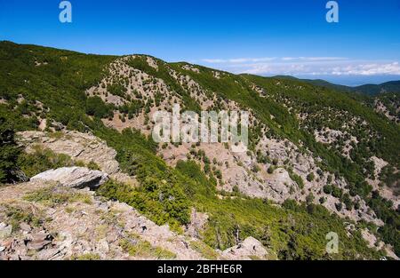 Italie Calabre - Parc National Aspromonte - Banque D'Images