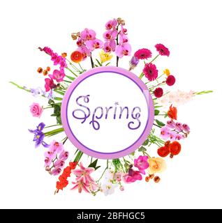 Collage de fleur de printemps isolé sur blanc Banque D'Images