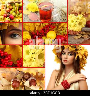 Collage de bel automne Banque D'Images