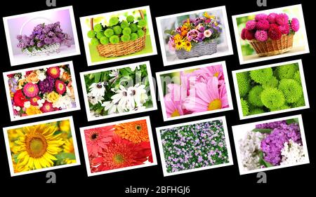 Collage de belles fleurs Banque D'Images