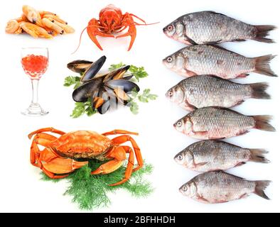 Fruits de mer isolated on white Banque D'Images