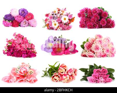 Bouquets de fleurs isolés sur blanc Banque D'Images