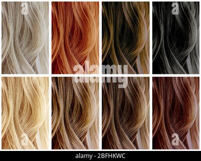 Échantillons de couleur des cheveux Banque D'Images