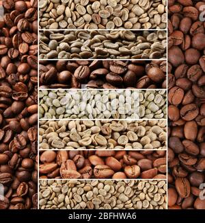 Collage de grains de café différents Banque D'Images