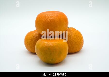 Quatre oranges Satsuma sur fond blanc. Ils ne sont pas parfaits mais une image réaliste de ce que vous obtenez dans les magasins. Banque D'Images