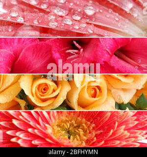 Collage de belles fleurs avec gouttes d'eau Banque D'Images