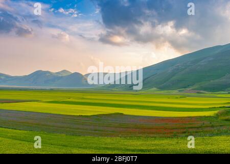 Vue panoramique du Piani di Castelluccio (centre de l'Italie) Banque D'Images