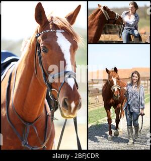 Collage de fille avec cheval Banque D'Images