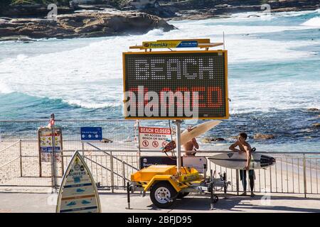 Sydney, Australie. Samedi 18 avril 2020, la plage Bronte dans la banlieue est de Sydney est fermée à Sydney en raison de la pandémie de coronavirus. Les surfeurs ignorent la signalisation fermée de la plage et grimpent pour aller surfer. Crédit Paul Lovelace Banque D'Images