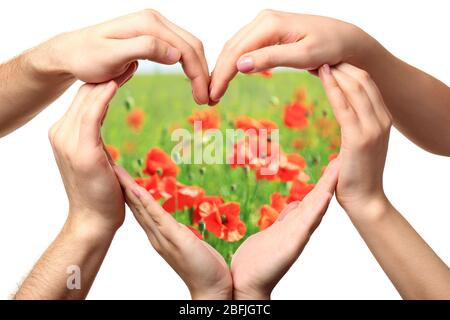 De belles fleurs de pavot dans le coeur formées par des mains mâles et femelles isolées sur blanc Banque D'Images