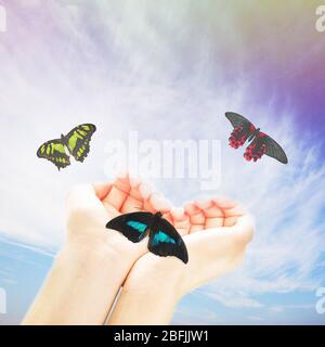 Mains humaines avec papillon sur fond de ciel Banque D'Images