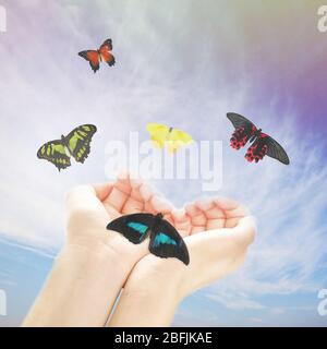 Mains humaines avec papillon sur fond de ciel Banque D'Images