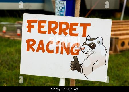 Un panneau de courses de furet à un spectacle de pays au Royaume-Uni Banque D'Images
