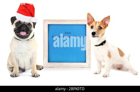 Chiens mignons avec cadre isolé sur blanc Banque D'Images