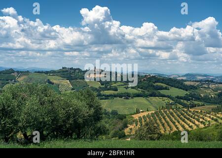 Paysage rural en été près de Monterubbiano, Fermo, Marches, Italie Banque D'Images