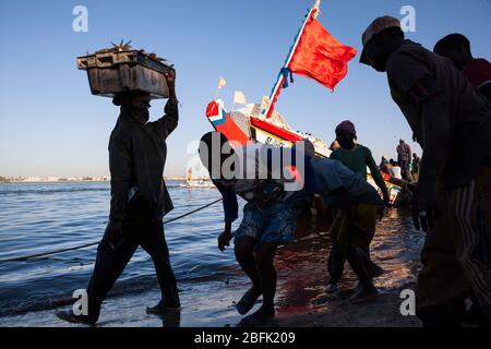 Les pêcheurs déchargeant la prise de la journée à Guet Ndar, Saint Louis, Sénégal. Banque D'Images