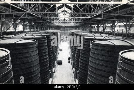 Vue interieure des usines Byrh, fabriquant du Vermouth, avec les tonneaux montagnes, un Thuir dans les Pyrénées Orientales (vue intérieure du Byrh Banque D'Images