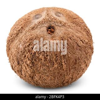 noix de coco isolées sur blanc, chemin de découpe de noix de coco Banque D'Images