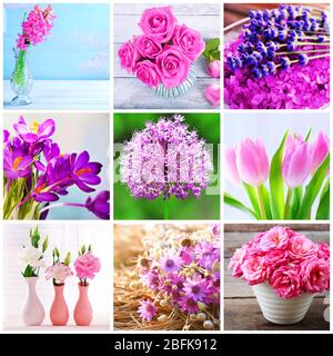 Beau collage de fleurs Banque D'Images