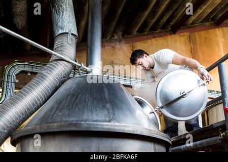 Maître brasseur Chris Taylor bravant de la bière à la brasserie Larkins, une brasserie primée et une ferme de houblon à Chiddingstone, Kent, Royaume-Uni Banque D'Images