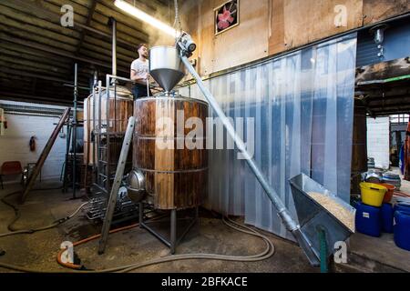 Maître brasseur Chris Taylor bravant de la bière à la brasserie Larkins, une brasserie primée et une ferme de houblon à Chiddingstone, Kent, Royaume-Uni Banque D'Images