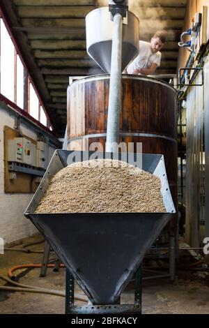 Maître brasseur Chris Taylor bravant de la bière à la brasserie Larkins, une brasserie primée et une ferme de houblon à Chiddingstone, Kent, Royaume-Uni Banque D'Images