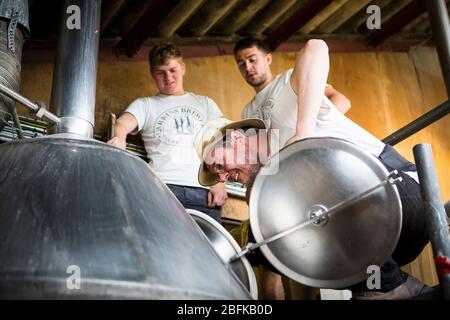 Brasserie de la brasserie Larkins, brasserie primée et ferme de sauts à Chiddingstone, Kent, Royaume-Uni Banque D'Images