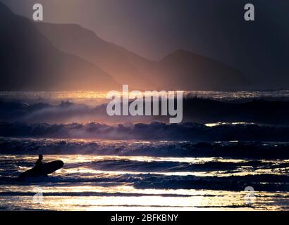 Silhouette d'un surfeur entrant dans la mer en hiver, Widemouth Bay, Bude, Cornwall, UK Banque D'Images