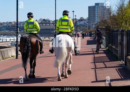 Portobello, Écosse, Royaume-Uni. 19 avril 2020. Cheval de police monté Logie et Edinburgh - en blanc , patrouillent la promenade et la plage à Portobello le dimanche après-midi ensoleillé. Iain Masterton/Alay Live News Banque D'Images