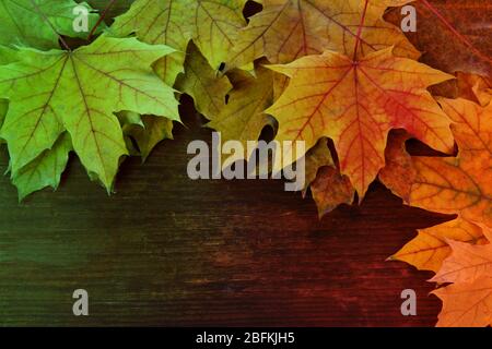 Les feuilles d'automne sur fond de bois Banque D'Images